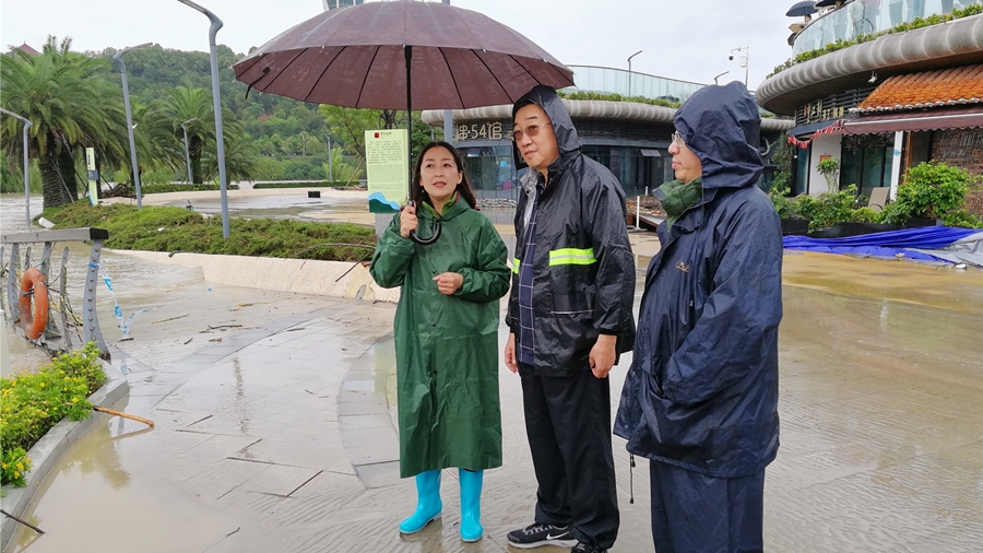 04-8月16日，程總視察三江半島及豪威爾號(hào)受損情況_副本