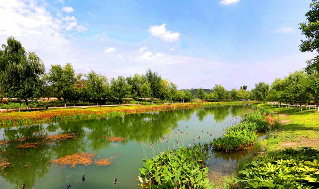 小枧生態(tài)濕地公園